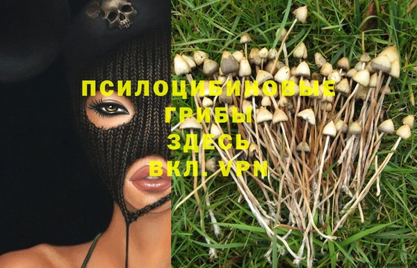 первитин Беломорск