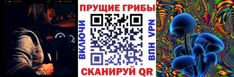 Купить закладки  Костерёво  Галлюциногенные грибы Psilocybine cubensis 